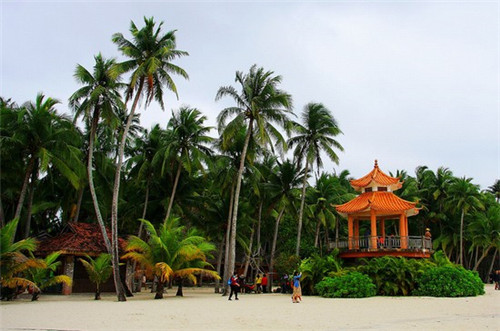 铁板尼克鸡扒饭