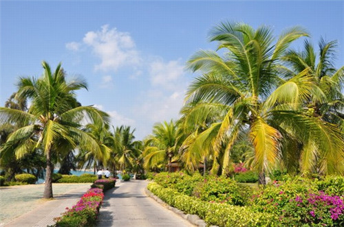 佛手指冒菜在宝兴县冒菜市场上的发展如何