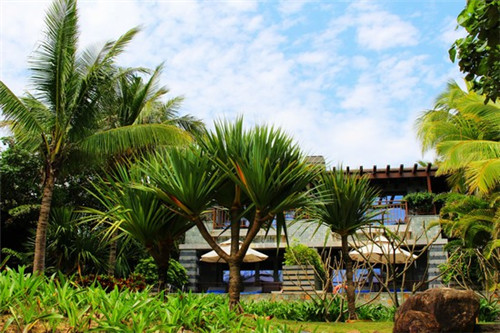 加盟麦田蛋糕开店装修要多少钱，蛋糕这个行业2025还能赚钱吗