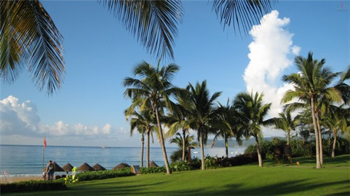 b站350播放量能有多少钱（b站3000播放量）