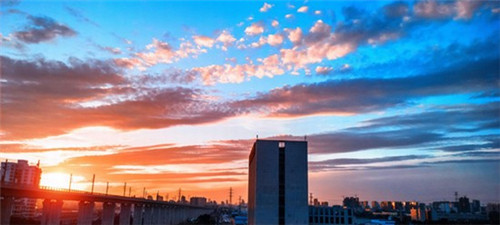 亨德森谈手球争议（亨德森是哪个球队的）