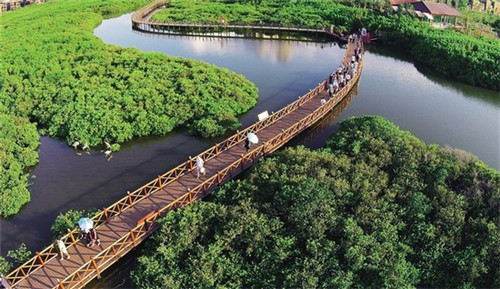 韩卢逐逡的意思（韩卢逐逡文言文）