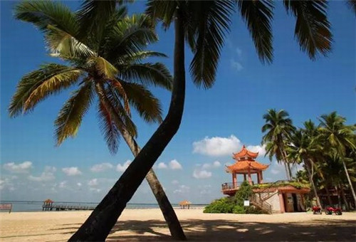 快手抖音怎么发送视频（快手抖音怎么发送视频到微信）