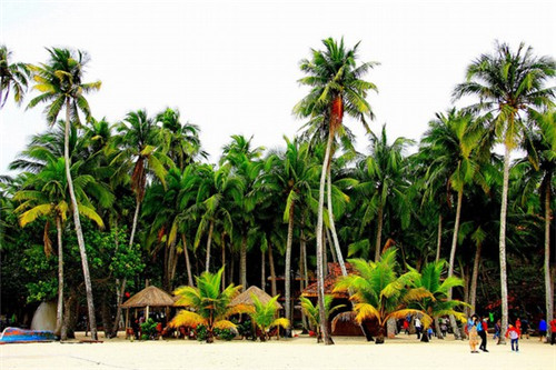 快手表情包怎么复制（怎样将快手的表情复制到微信）