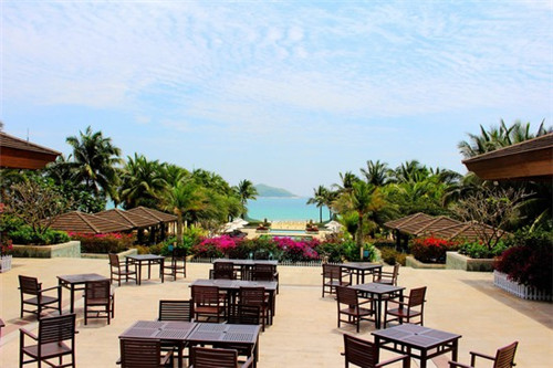 大刀豆炒肉末怎么炒（刀豆炒猪肉）