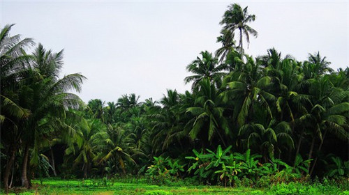 创业结婚需要物品店开吗知乎，创业结婚需要物品店开吗